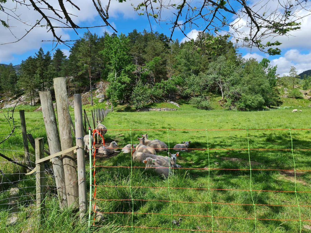 Hygge Pa Fjellet Øyuvstad Exterior foto