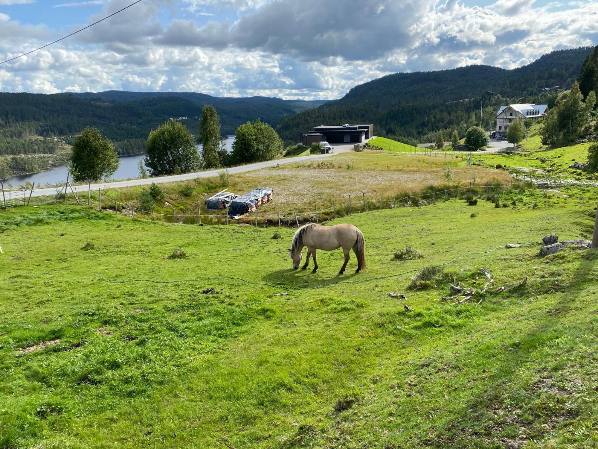 Hygge Pa Fjellet Øyuvstad Exterior foto